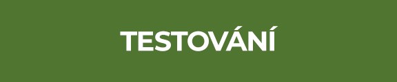 Testování