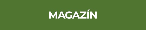 Magazín