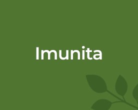 Imunita